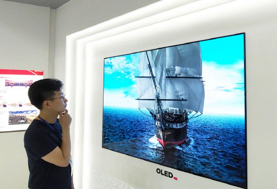 LG디스플레이 OLED TV 패널. <LG디스플레이 제공>
